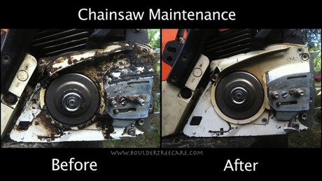 Chainsaw Maintenance