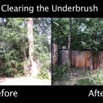 Clearing the Underbrush