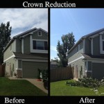 Crown Reduction