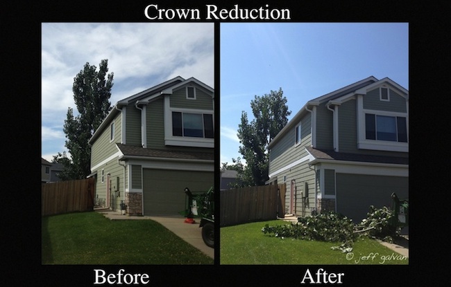 Crown Reduction