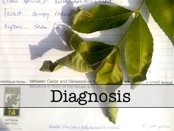 Diagnosis and Treatment