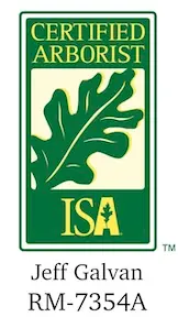 Arborist Boulder CO