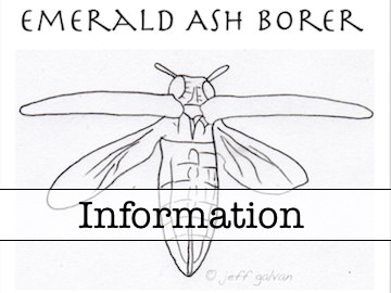 Information