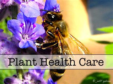 Plant Health Care