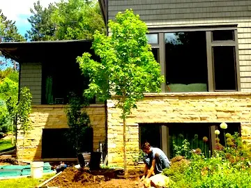 Planting Trees Boulder
