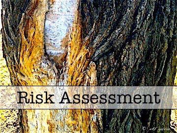 Risk Assessment