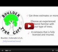Tree Care Video Tip 1