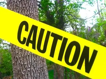 Preserving quality tree by implementing protection zones.