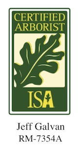 Certified Arborist Boulder Colorado