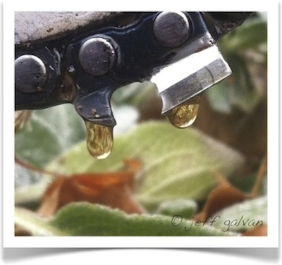 Vegetable oil for chainsaw outlet bar